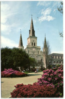 New Orleans - St. Louis Cathedral - New Orleans