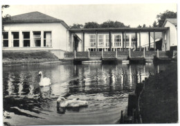 Torhout - Diocesaan Centrum Virgo Fidelis - Torhout