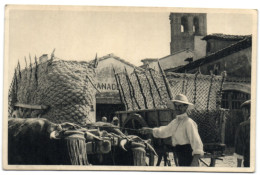 Exposicion Universal E Internacional De Bruselas 1958 - Navalmorcuende (Avila) - Campesino - Ávila