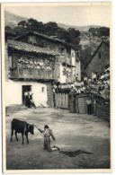 Exposicion Universal E Internacional De Bruselas 1958 - Mijares (Avila) - Novillada En La Plazza Del Pueblo - Ávila