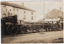 Photo Vigneulles-les-Hattonchâtel 55 Canon Ersatz Baraquements Hôpital Militaire Guerre 14-18 WK1 WW1 - Vigneulles Les Hattonchatel