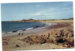 Saline Bay - Grandes Roques - Guernsey - Guernsey