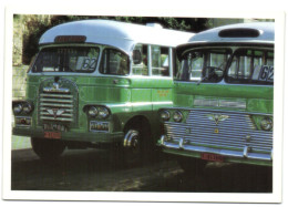 Malta - Public Transport Buses - Malte