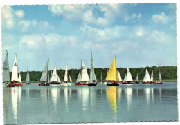 Lac De Virelles - Les Régates - Chimay