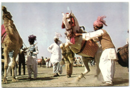 Dancing Horese - Dancing Camel - Pakistan - Pakistán