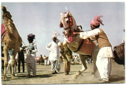 Dancing Horese - Dancing Camel - Pakistan - Pakistan