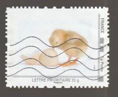 MONTIMBRAMOI POUSSIN SORTANT DE L OEUF OBLITERE - Used Stamps