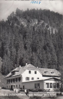 D6633) WEISSENSEE - Gasthof MÖSSLACHERHOF - Ostufer Weissensee - Kärnten - S/W - Weissensee