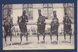 CPA 1 Euro Animaux Cheval Chevaux Horse Militaria Non Circulé Saumur - Paarden