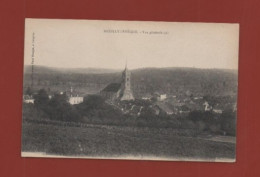 NEUILLY L'EVEQUE - Vue Générale - Neuilly L'Eveque