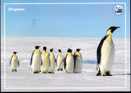 40th INDIAN SCIENTIFIC EXPEDITION TO ANTARCTICA-EMPEROR PENGUINS-WORLD POST CARD DAY CACHET-2023-PC-LIMITED ISSUE-NMC-19 - Penguins