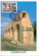 Tunisie 1999 -carte Maximum( Aqueduc Romain De Zaghouan) // Tunisia-maxi-card ( Roman Aqueducts Of Zaghouan) - Archéologie