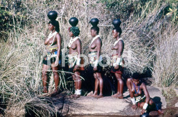 70s ZULU ETHNIC NUDE BREASTS NUE TRIBE SOUTH AFRICA AFRIQUE 35mm DIAPOSITIVE SLIDE NO PHOTO FOTO NB2776 - Diapositives