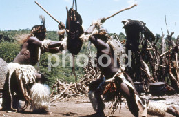 70s ZULU WARRIORS COMBAT ETHNIC TRIBE SOUTH AFRICA AFRIQUE 35mm DIAPOSITIVE SLIDE NO PHOTO FOTO NB2780 - Diapositives