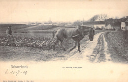 BELGIQUE - Schaerbeek - La Vallée Josaphat - Le Labour - Carte Postale Ancienne - Schaarbeek - Schaerbeek