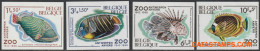 België 1968 - Mi:1527/1530, Yv:1470/1473, OBP:1470/1473, Stamp - □ - Zoo Of Antwerp - 1961-1980