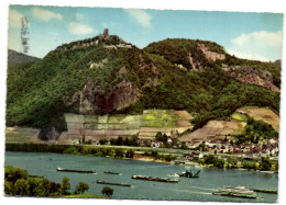 Rheinpanorama Mit Blick Auf Burgruine Drachenfels - Drachenfels