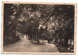 Virelles - Lac De Virelles - Sous-Bois - Pavillon Tallien - Chimay