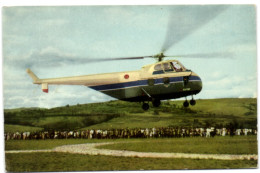 Voyage Du Roi Au Congo - Eté 1955 - Un Hélicapter  Dép. D'Usumbura Dans L'Urundi Et Va Atterrir à Kitega - Ruanda Urundi