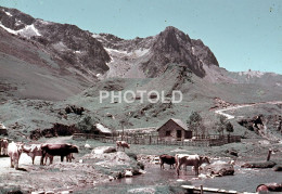 6 SLIDES SET 1952 LA MONGIE BAGNÈRES BIGORRE HAUTES PYRÉNÉES FRANCE 35mm AMATEUR  DIAPOSITIVE SLIDE NO PHOTO FOTO NB2792 - Diapositives