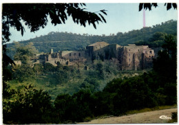 Collobrières (Var) - Chartreuse De La Verne - Vue Générale - Collobrieres