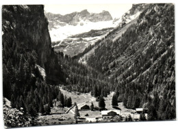 Pont De Nant S/Bex Et Dents De Morcles - Morcles