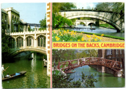 Bridges Ont He Backs - Cambridge - Cambridge