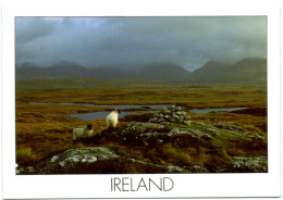 Ireland - The Rugged Landscape On The West Coast Of Ireland - Autres & Non Classés