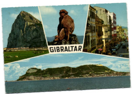 Gibraltar - Gibraltar