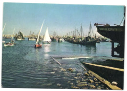 Alexandria - The Old Harbour - Alexandrie