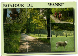 Bonjour De Wanne - Trois-Ponts