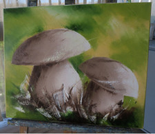 LES BOLETS (champignons) 60 X 50 Cm - Olieverf