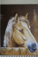 Cheval  Dans Un Box / Peinture à L'huile 60 X 50 Cm - Olii