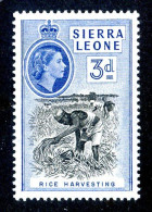 7090 BCx 1956 Scott #199 Mnh** ( Cv$1.05 )  LOWER BIDS 20% OFF - Sierra Leone (...-1960)
