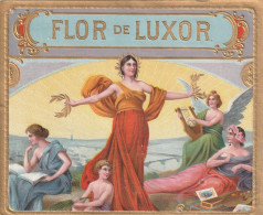 Cigar Label  No 51  , Flor De Luxor   Sigarenbanden Vitolas , - Etiketten