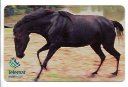 Cheval Horse Animal  Télécarte  Brésil Phonecard  Telefonkarte (1190) - Brésil