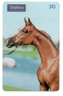 Cheval Horse Animal  Télécarte Brésil Phonecard  Telefonkarte (1196) - Caballos