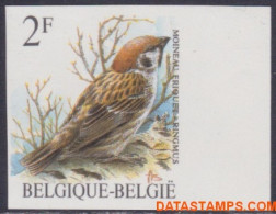 België 1989 - Mi:2399, Yv:2348, OBP:2347, Stamp - □ - Birds Ring Sparrow - 1981-2000
