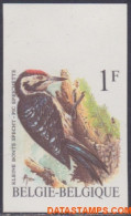 België 1990 - Mi:2401 X, Yv:2349, OBP:2349, Stamp - □ - Birds Little Spotted Woodpecker - 1981-2000