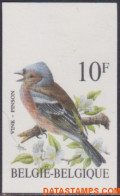 België 1990 - Mi:2404 X, Yv:2350, OBP:2351, Stamp - □ - Birds Finch - 1981-2000