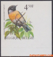 België 1990 - Mi:2449, Yv:2397, OBP:2397, Stamp - □ - Birds Robin Spout - 1981-2000