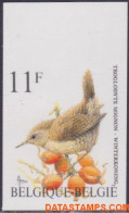 België 1992 - Mi:2502, Yv:2449, OBP:2449, Stamp - □ - Birds Wren - 1981-2000