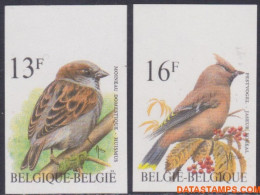 België 1994 - Mi:2585/2586, Yv:2533/2534, OBP:2533/2534, Stamp - □ - Birds House Sparrow, Plague Bird - 1981-2000