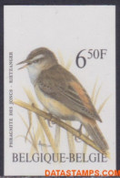 België 1994 - Mi:2629, Yv:2576, OBP:2577, Stamp - □ - Birds Reed Singer - 1981-2000