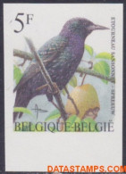 België 1996 - Mi:2690, Yv:2636, OBP:2638, Stamp - □ - Birds Starling - 1981-2000