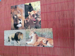 4 Phonecards Lion  Rare - Giungla