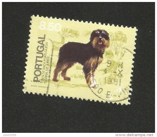 N° 1501 Chiens De La Race Portugaise Serra De Aires 8e50  Timbre Portugal  Oblitéré 1981 - Gebruikt