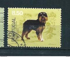 N° 1501 Chiens De La Race Portugaise Serra De Aires 8e50  Timbre Portugal  Oblitéré 1981 - Gebraucht