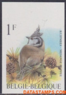 België 1998 - Mi:2809, Yv:2757, OBP:2759, Stamp - □ - Birds Crested Tit - 1981-2000