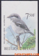 België 1998 - Mi:2827, Yv:2775, OBP:2775, Stamp - □ - Birds Flapping Magpie - 1981-2000